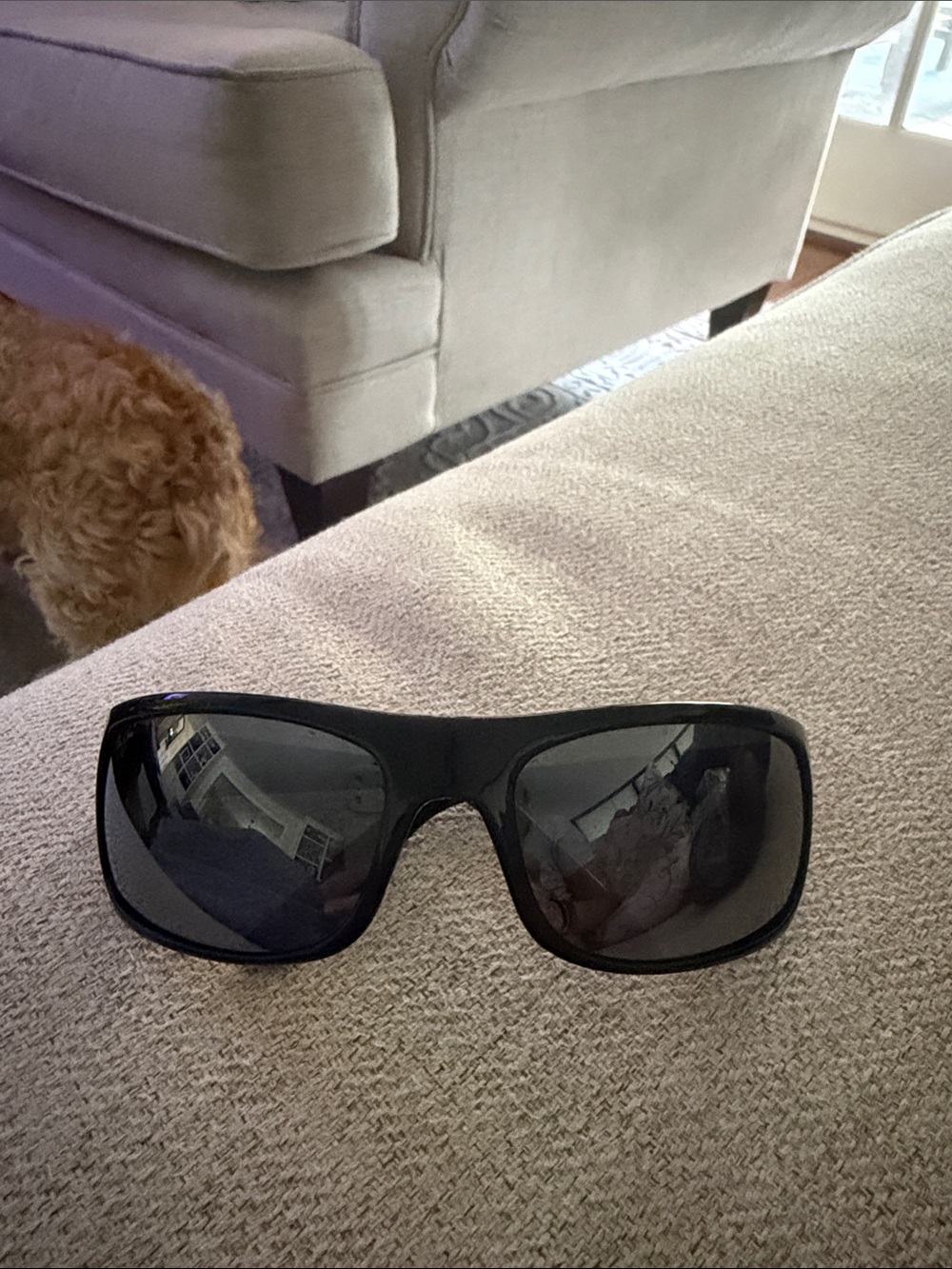 Maui Jim Black Sunglasses with Brown Branded Case